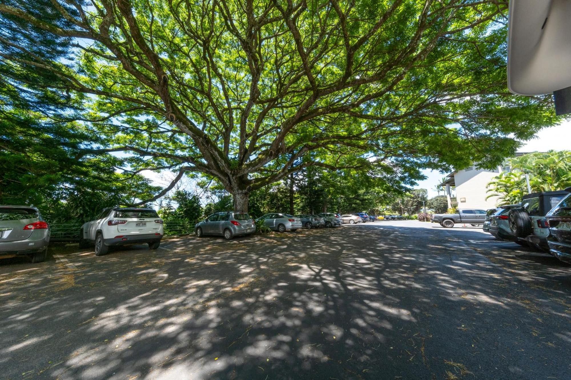 Hanalei Bay Resort Princeville Dış mekan fotoğraf